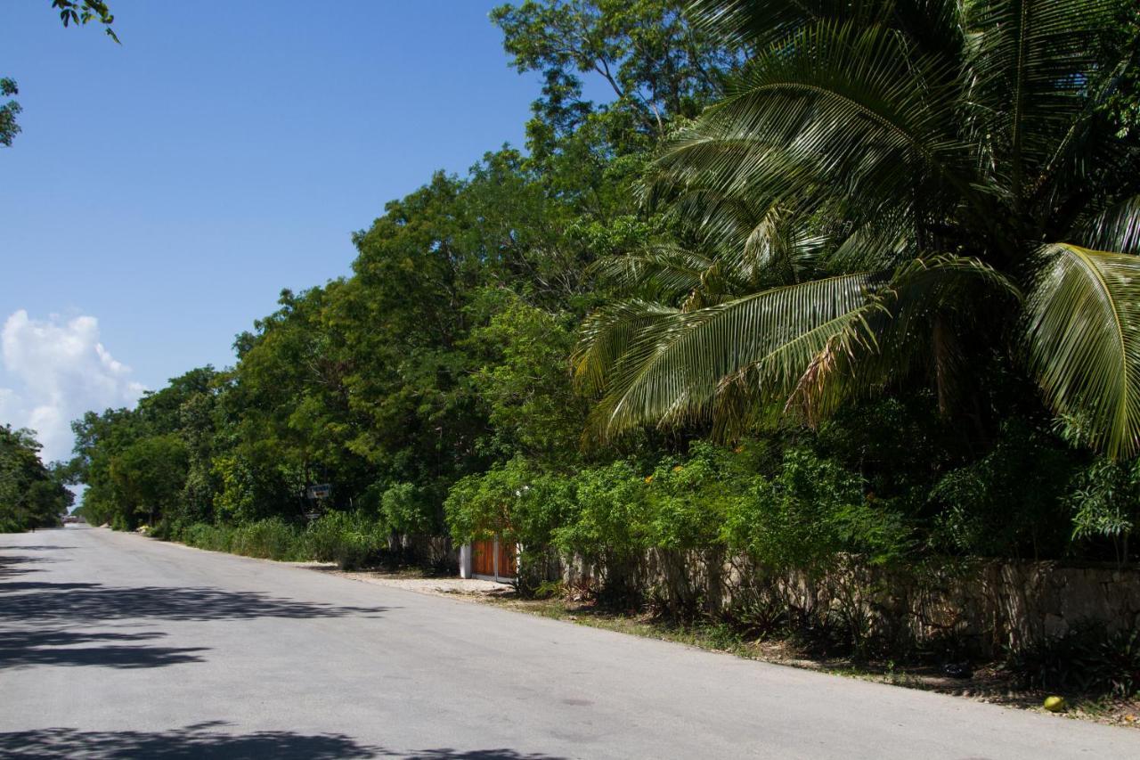 Villa Flor De Mayo Tulum Exterior foto