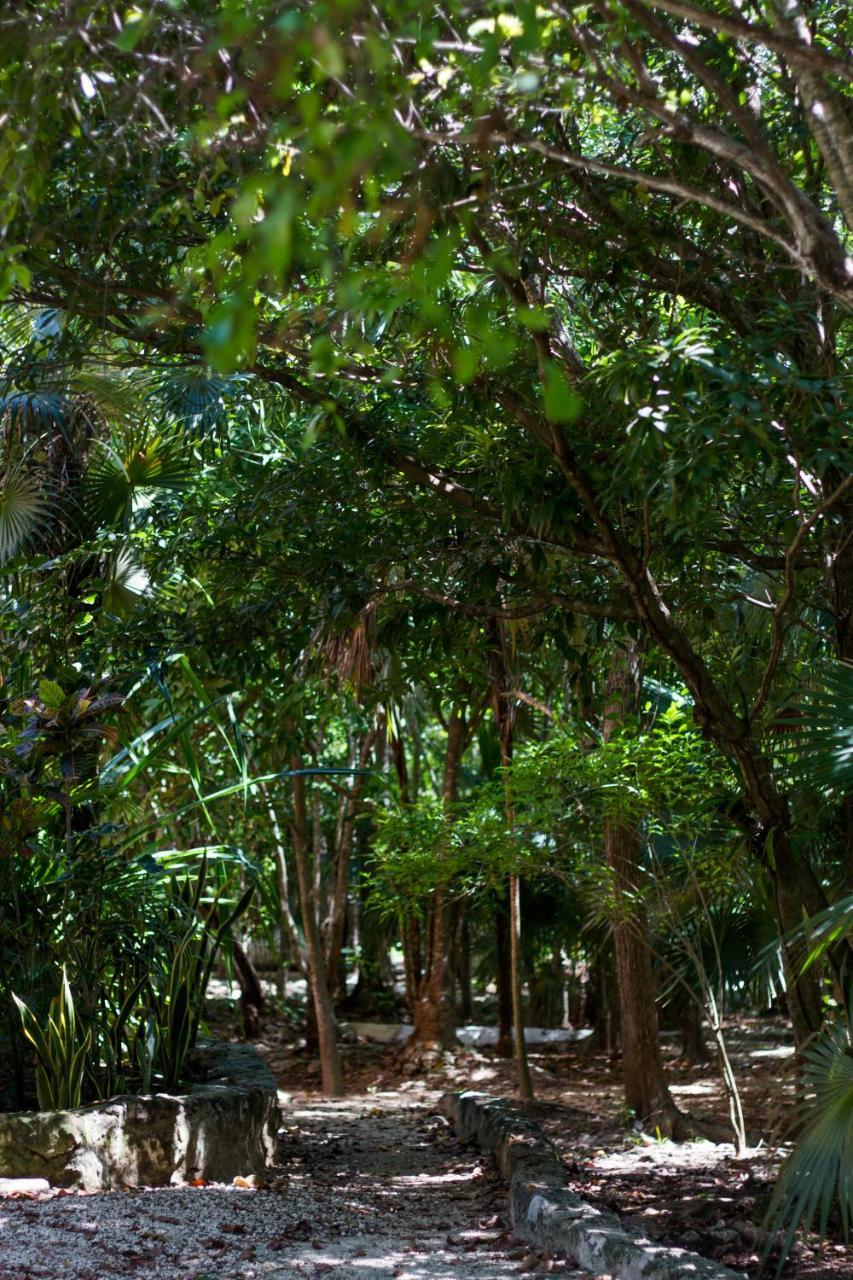 Villa Flor De Mayo Tulum Exterior foto